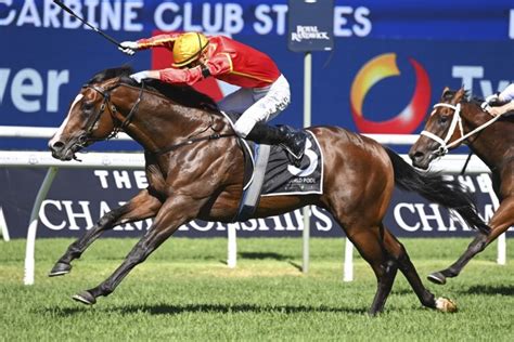 Carbine club stakes prize  Total prize money for the race is A$200,000