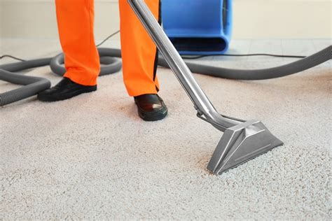 Carpet cleaning in bluff springs com