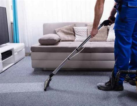 Carpet cleaning piara waters  All In One 24/7 Cleaning Service