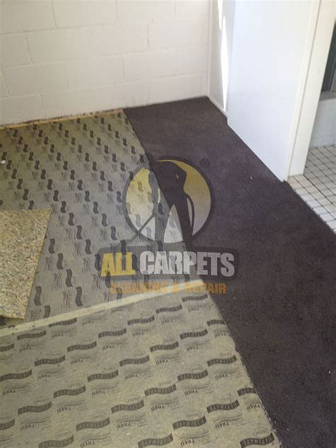 Carpet repair flinders  All Carpets provide home drying equipment for hire in Flinders View and all surrounding areas