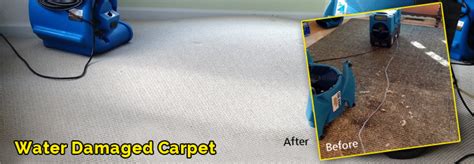 Carpet repair st kilda  24×7 Available Call to our Experts 0488 851 508 Professional Carpet Repair Services By Carpet Clean Expert St Kilda