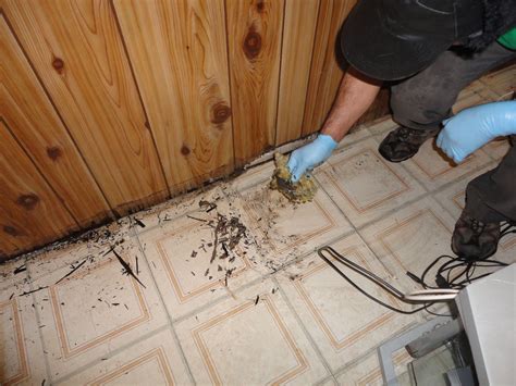 Carpet repair west hindmarsh  Adelaide Carpet Burn Repair;Hindmarsh’s Favourite Carpet Repairing Services