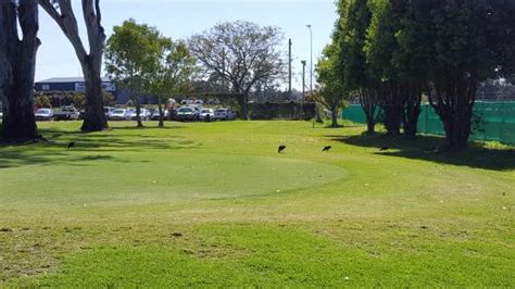 Carrara gardens golf course prices Now $98 (Was $̶2̶4̶0̶) on Tripadvisor: Mercure Gold Coast Resort, Carrara