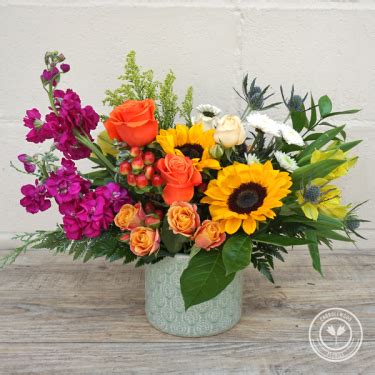 Carrollwood florist tampa Daily Tampa Flower Delivery