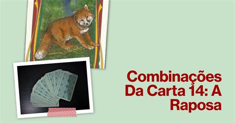 Carta a raposa combinações  14