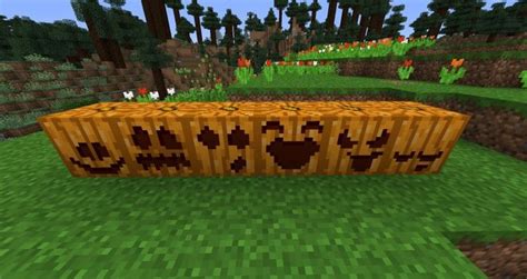 Carved pumpkin resource pack 39,301 Description Comments (47) Files Images Relations This resource pack adds 65 unique hats to your Minecraft experience! All you need to do is get yourself a carved