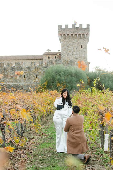 Castello di amorosa wedding cost  A set of 4 beautiful wine glasses adorned with a gold Castello di Amorosa logo