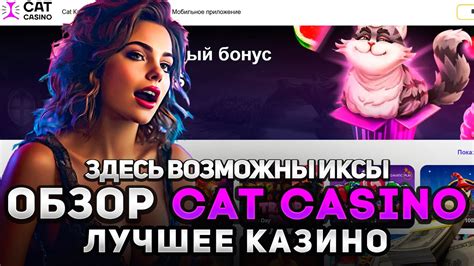 Cat казино промокод  Amazing user-friendliness; Stellar ten-stars reputation; A huge variety of games; R