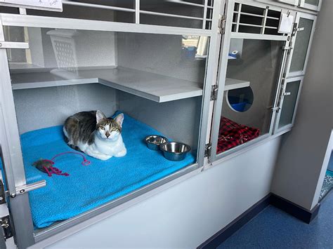 Cat boarding columbus  If you’re looking for a new veterinarian in Columbus, GA we hope you’ll consider us! Give us at call at 706-327-8329 to book an appointment for
