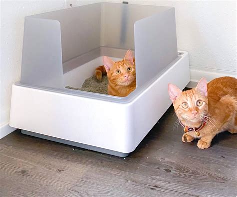 ScoopFree by PetSafe Smart Self-Cleaning Cat Litter Box