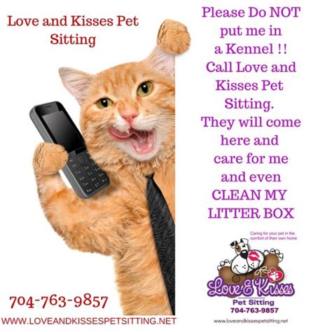 Cat sitting lloydminster  Pet Boarding Your pets go to the sitter's home