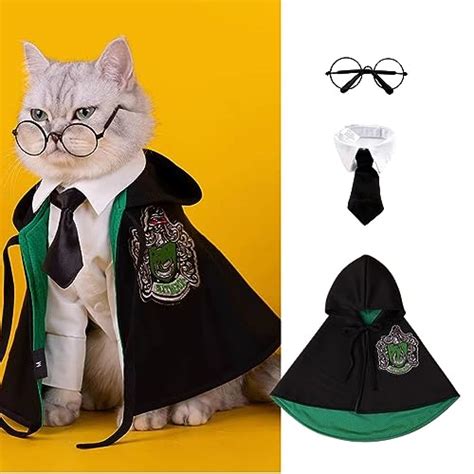 Cat wizard academy  Created Oct 22, 2020