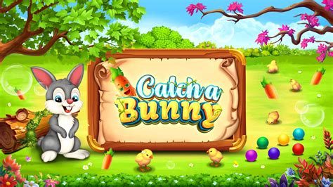 Catch the bunny game  Contact a Wildlife Rehabber, a rabbit veterinarian, or a bunny rescue group in your area