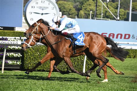 Caulfield cup barrier draw  New Zealand mare Ethereal achieved the