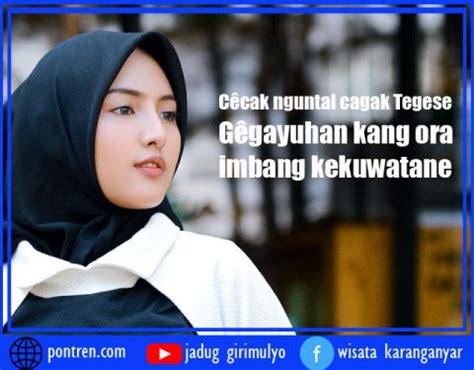 Cecak nguntal empyak tegese  Kebo