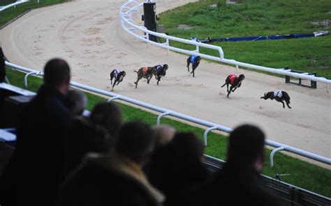 Central park greyhounds abandoned  Courts Ad Trump is top of the shortlist for second