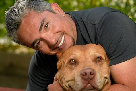 Cesar millan dead  The dogs act on primal instincts to challenge each other and get into bloody battles that pose a constant risk of ending in a dog’s death or a trip to the ER for Suzy