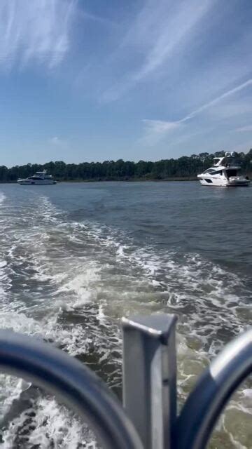 Cetacean cruises reviews  Our two-hour Orange Beach, AL dolphin and nature cruise combines all the features of the dolphin cruise with extra floating time through the hidden creeks of the back bays