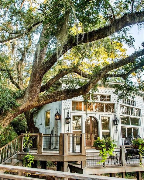 Charleston honeymoon treehouse  A few sprinkles possible