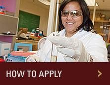 2024 CheMIE REU Research Opportunities - Texas State University