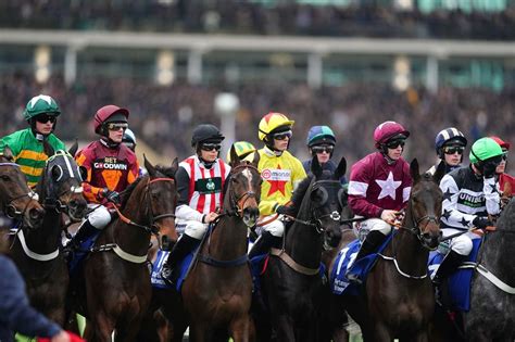 Cheltenham festival cards  T&C apply