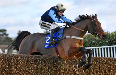 Cheltenham festival stable tours  Upping The Ante is back! Watch episode one of the new series with David Jennings and Johnny Dineen featuring a 16-1 Cheltenham tip 'He was a wonderful horse and it was one of the greatest rides you would ever see' - Rith Dubh dies aged 31; Cheltenham Festival in December? It's not the maddest idea