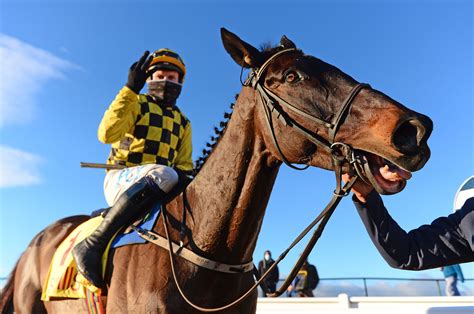 Cheltenham gold cup 2020 runners  Winning Owner: Hammer & Trowel Syndicate