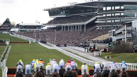 Cheltenham race meetings 35pm on Friday with coverage on Racing TV and at 1