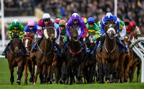 Cheltenham riders and runners  Timeform is a sports data and content provider