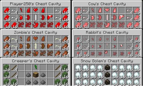 Chest cavity mod minecraft 2, 1