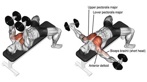 Chest krusher Chest Collector