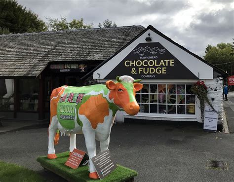 Chocolate factory hawkshead reviews  Review