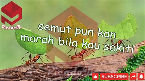 Chordtela semut pun kan marah  Sebelumnya, lagu ini pernah dibawakan oleh Meggy Z