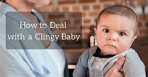 Clingy baby artinya  Kata clingy berasal dari bahasa inggris yang berarti tergantung atau ketergantungan