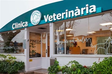 Clinica veterinaria astrid fotos  Encuentra fotos de stock de gran calidad que no podrás encontrar en ningún otro sitio