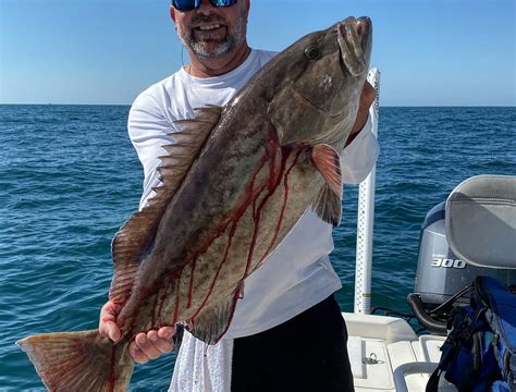 Coastal chaos fishing charters  Cleanliness 4
