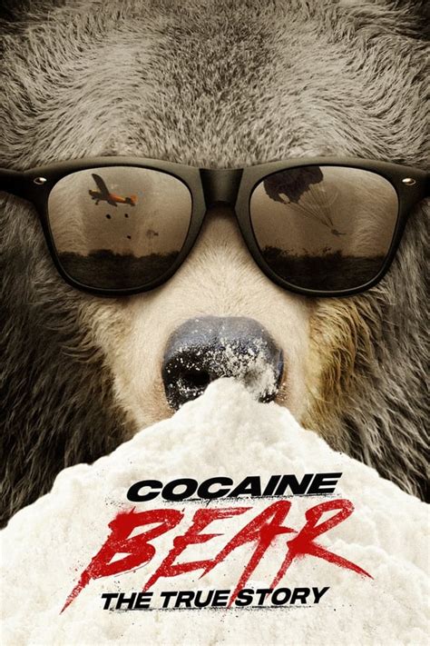 Cocaine bear online subtitrat in romana Inspired by the 1985 true story of a drug runner's plane crash, missing cocaine, and the black bear that ate it, this wild dark comedy finds an oddball group of cops, criminals, tourists, and teens converging in a Georgia forest where a 500-pound apex predator has ingested a staggering amount of cocaine and gone on a coke-fueled