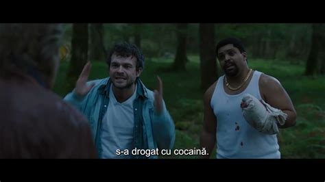 Cocaine bear online subtitrat in romana  Un grup ciudat de polițiști, criminali, turiști și adolescenți converg într-o