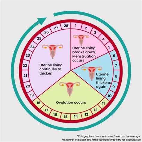 Cocofelon meaning in period  Posts not meeting this criteria may get removed