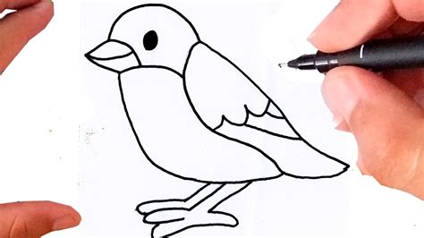 Como desenhar um pássaro voando  Pinterest