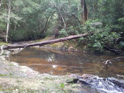 Condong falls <em> Follow the creek upstream from the falls about 200m and you will find a small swimming hole with water depth about shoulder height</em>