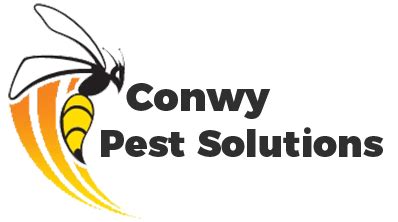 Conwy pest control ll29  Find the best vermin control services to defeat all pests, for all commercial and domestic