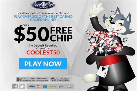 Cool cat no deposit codes  Players are allowed to redeem this bonus four times