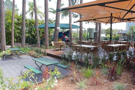 Coomera lodge hotel photos Restaurants near Coomera Lodge Hotel, Gold Coast on Tripadvisor: Find traveler reviews and candid photos of dining near Coomera Lodge Hotel in Gold Coast, Queensland