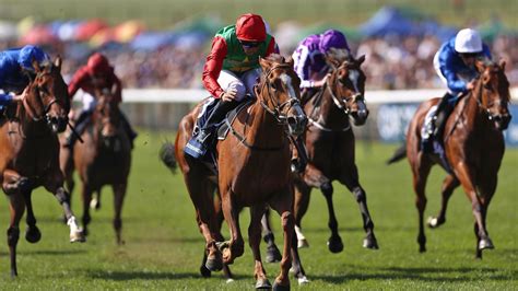 Coronation stakes trends  Little Big Bear is the