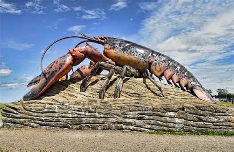 Couchtuner the lobster January 28, 2021 12:00 AM — 25 mins