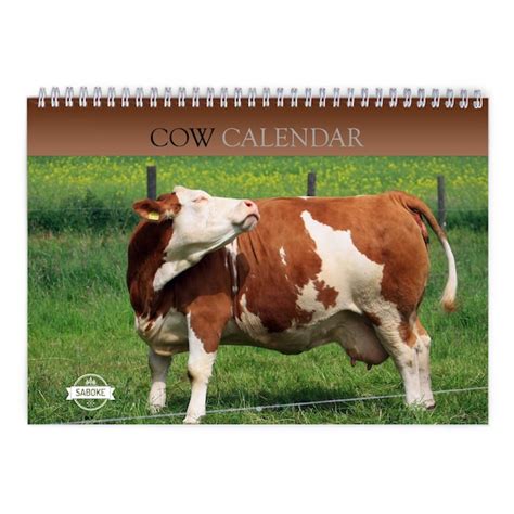 2024 Cow Calendar - Etsy