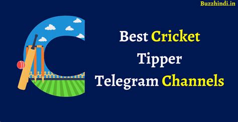 Cricket tipper telegram  17 subscribers