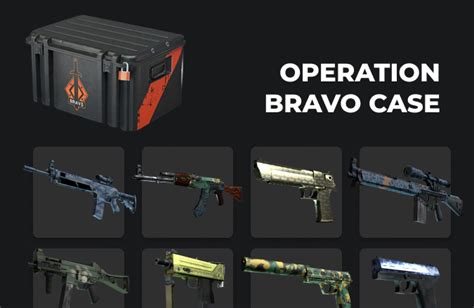 Cs go karambit vanilla  Operation Bravo Case