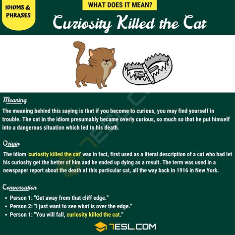 Curiosity killed the cat artinya  （好奇心は猫を殺したが、満足感を得て生き返った）